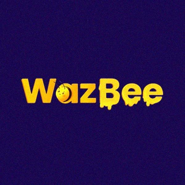 Why Choose Wazbee Casino?